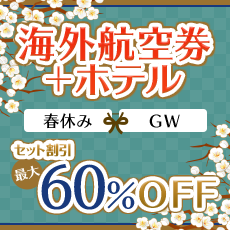 �C�O�q�󌔁{�z�e�� �Z�b�g�����ő�60%OFF