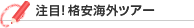 ���ځI�i���C�O�c�A�[