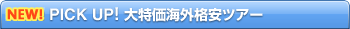 PICK UP!������C�O�i���c�A�[