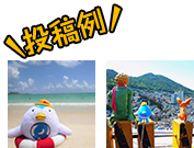 投稿例
