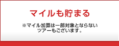 マイルも貯まる※マイル加算は一部対象とならないツアーもございます。