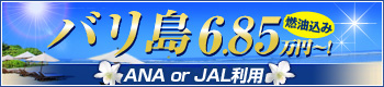 �o���� JALorANA���p