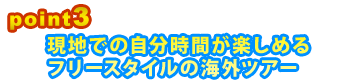Point3 現地での自分時間が楽しめるフリースタイルの海外ツアー