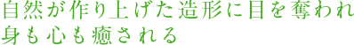 Rグ`ɖڂDgS