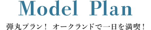 Model Plan eۃvI I[Nhň𖞋iI