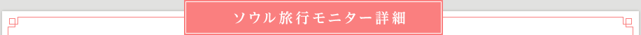 ソウル旅行モニター詳細