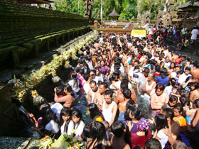 TAMA さんの投稿作品