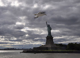 shuchan さんの投稿作品