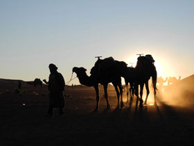 ryo さんの投稿作品