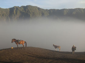 けー さんの投稿作品