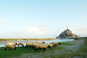 ナポリたん さんの投稿作品