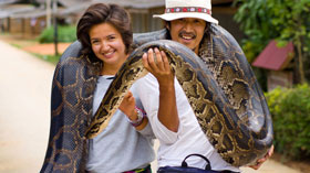 unalistdaiko さんの投稿作品