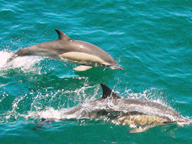 takashi さんの投稿作品