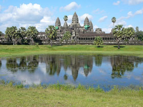 さかなこ さんの投稿作品