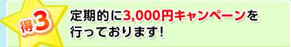 ��3 ����I��3,000�~�L�����y�[���� �s���Ă���܂��I