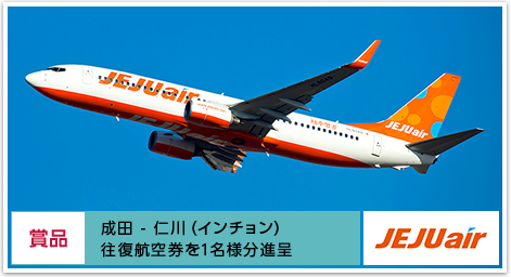 商品 成田-仁川(インチョン) 往復航空券を1名様分進呈