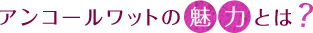 AR[bg̖͂Ƃ́H
