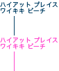 �n�C�A�b�g �v���C�X ���C�L�L �r�[�`