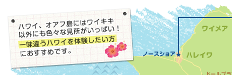 �n���C�A�I�A�t���ɂ̓��C�L�L�ȊO�ɂ��F�X�Ȍ����������ς��I�ꖡ�Ⴄ�n���C��̌����������ɂ������߂ł��B