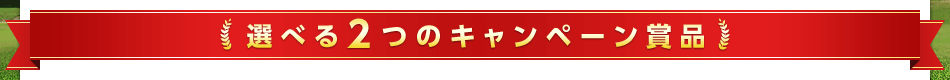 Iׂ2̃Ly[ܕi